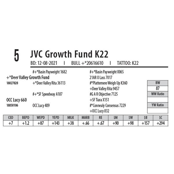 JVC GROWTH FUND K22