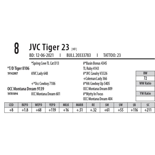 JVC TIGER 23