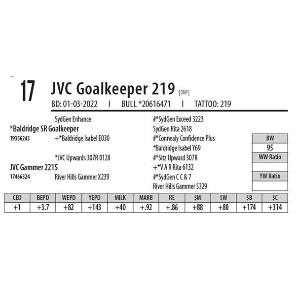 JVC GOALKEEPER 219