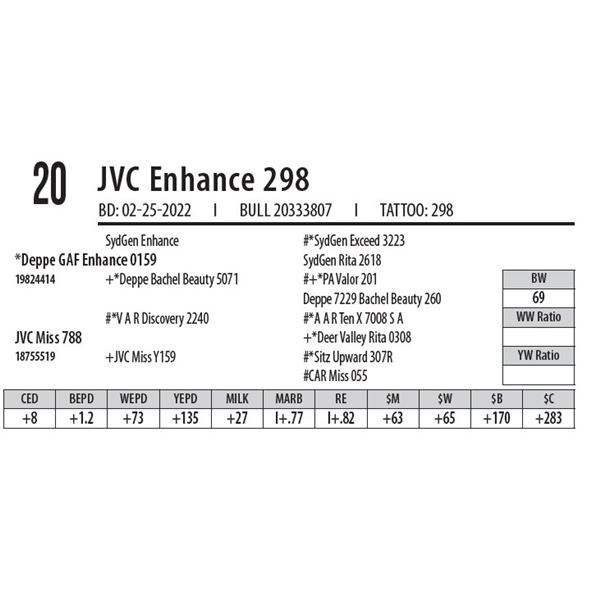 JVC ENHANCE 298