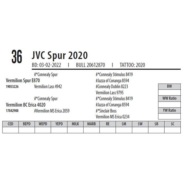 JVC SPUR 2020