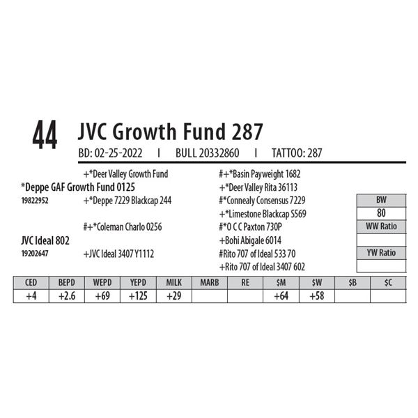 JVC GROWTH FUND 287