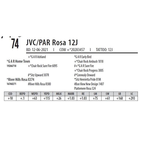 JVC/PAR ROSA 12J
