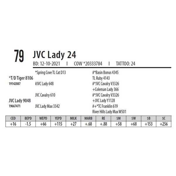 JVC LADY 24