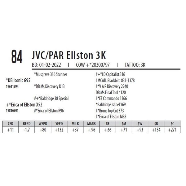 JVC/PAR ELLSTON 3K