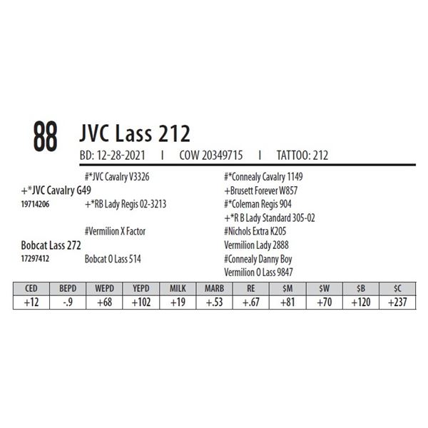 JVC LASS 212