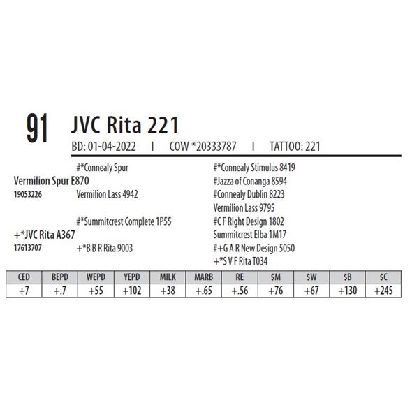 JVC RITA 221