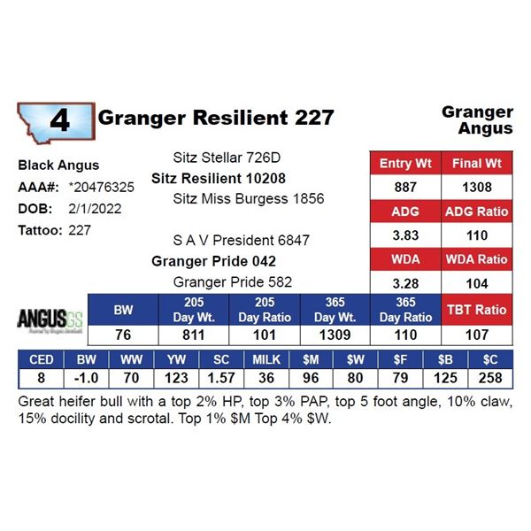 Granger Resilient 227