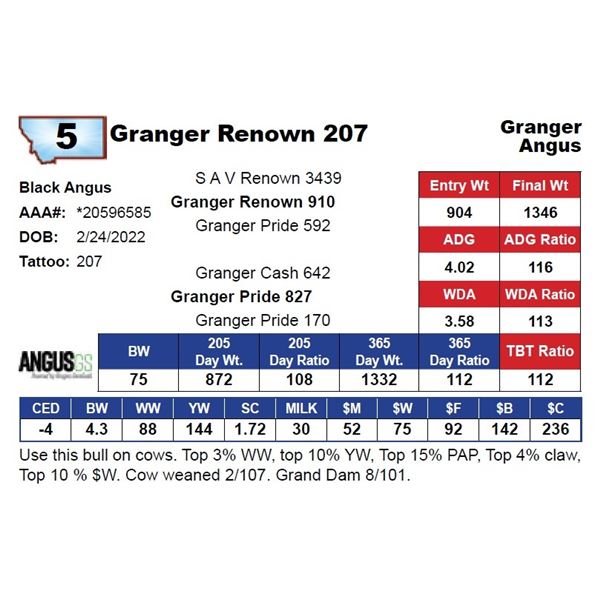 Granger Renown 207