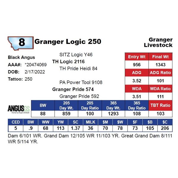 Granger Logic 250