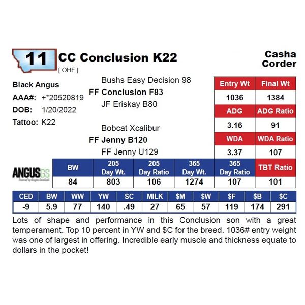 CC Conclusion K22