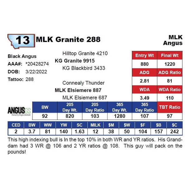 MLK Granite 288