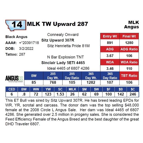 MLK TW Upward 287