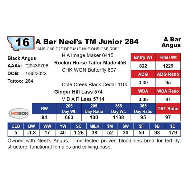 A Bar Neel's TM Junior 284