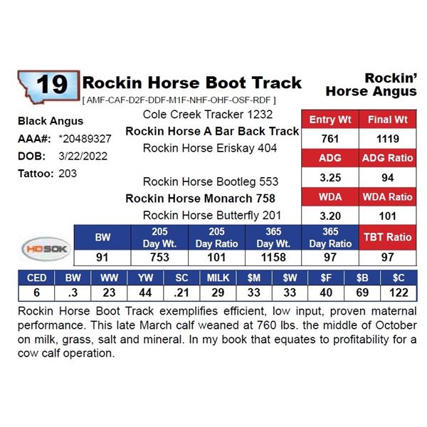 Rockin Horse Boot Track