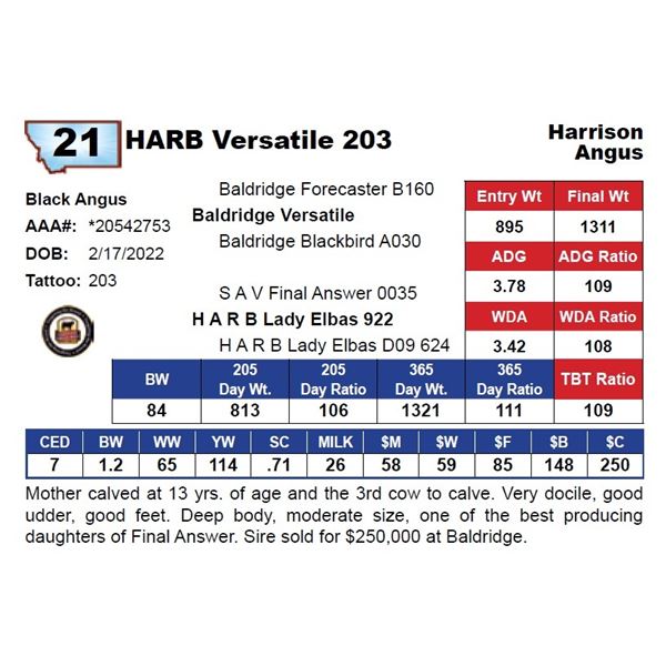 HARB Versatile 203