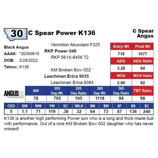C Spear Power K136