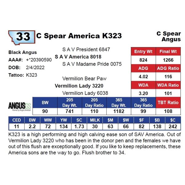 C Spear America K323