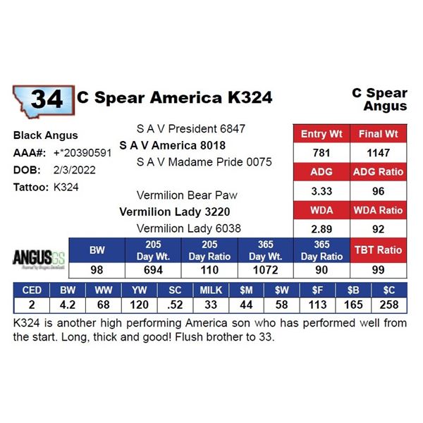 C Spear America K324