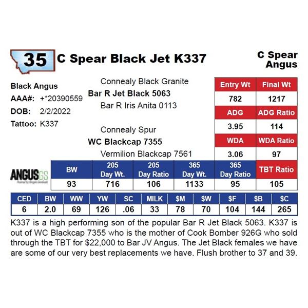 C Spear Black Jet K337