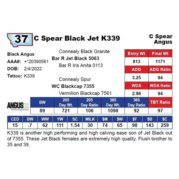 C Spear Black Jet K339