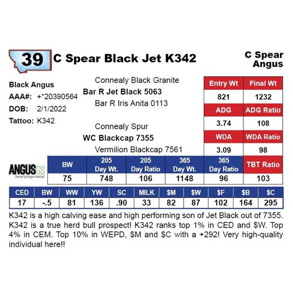 C Spear Black Jet K342