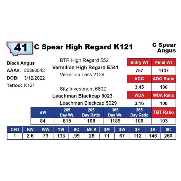 C Spear High Regard K121