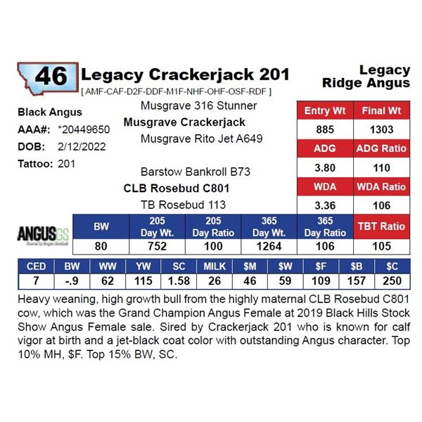 Legacy Crackerjack 201