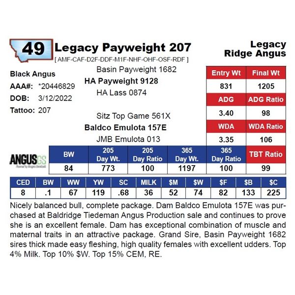 Legacy Payweight 207