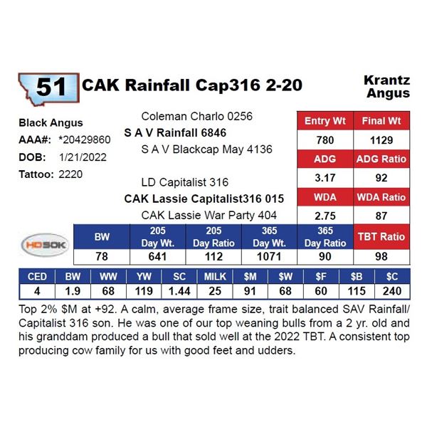 CAK Rainfall Cap316 2-20