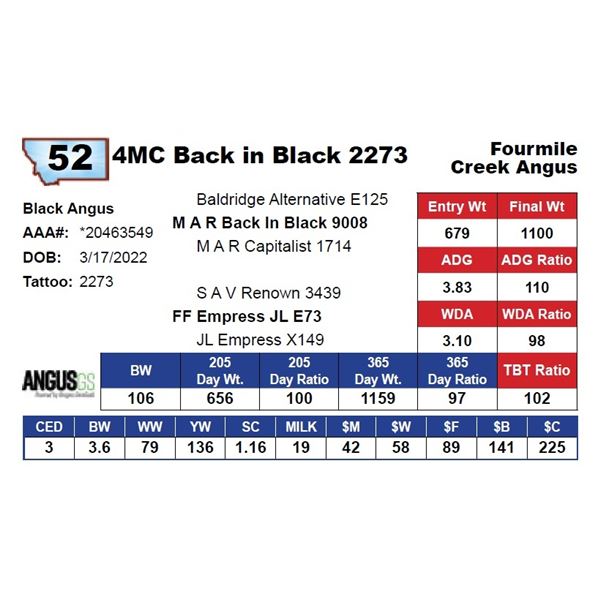 4MC Back in Black 2273