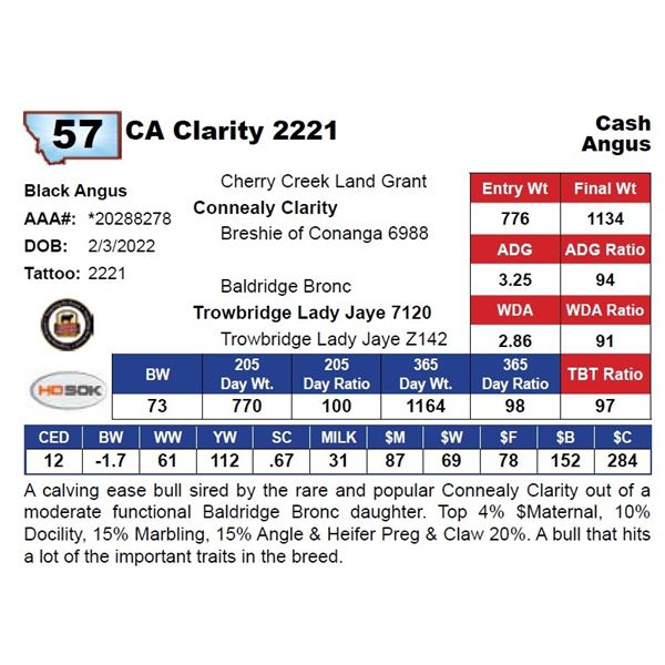 CA Clarity 2221