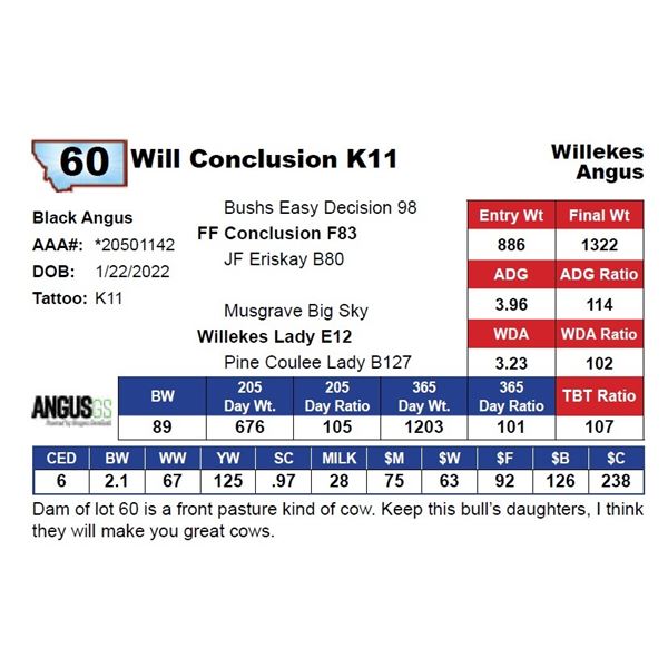 Will Conclusion K11