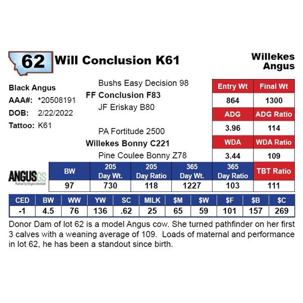 Will Conclusion K61