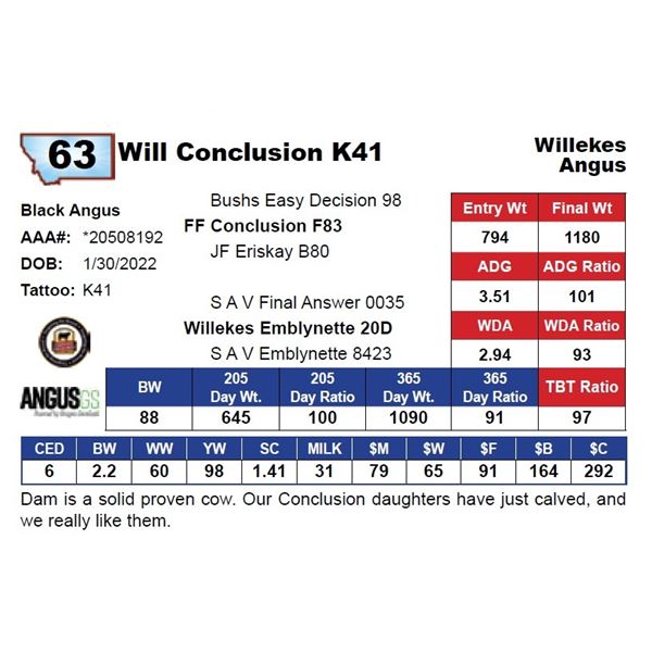 Will Conclusion K41