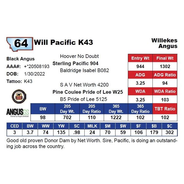 Will Pacific K43