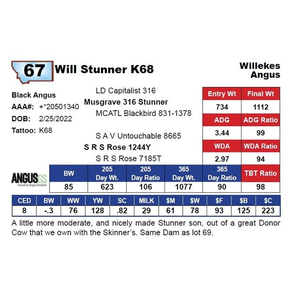 Will Stunner K68