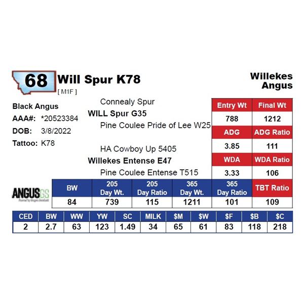 Will Spur K78