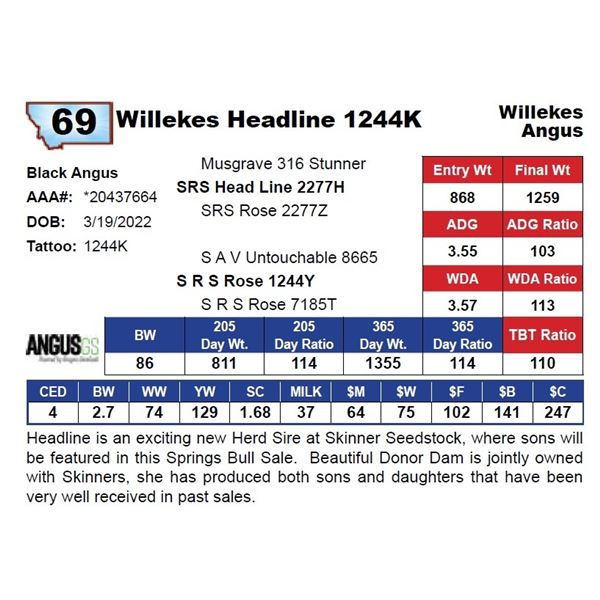 Willekes Headline 1244K