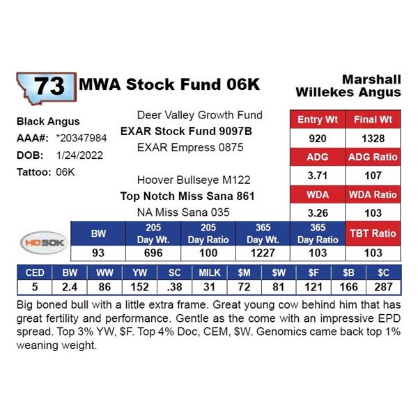 MWA Stock Fund 06K