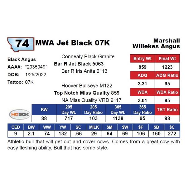 MWA Jet Black 07K