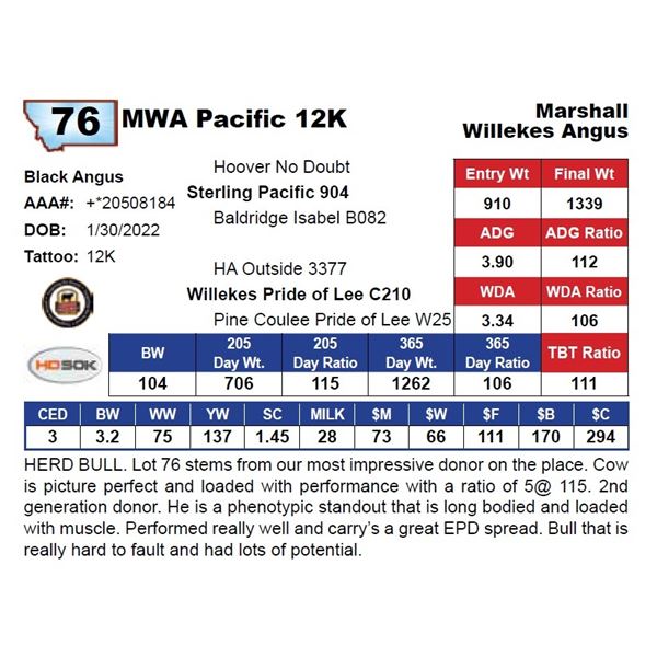 MWA Pacific 12K