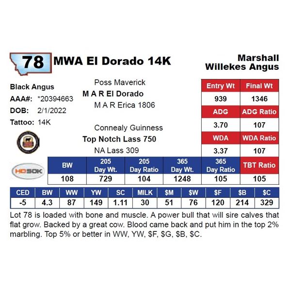 MWA El Dorado 14K