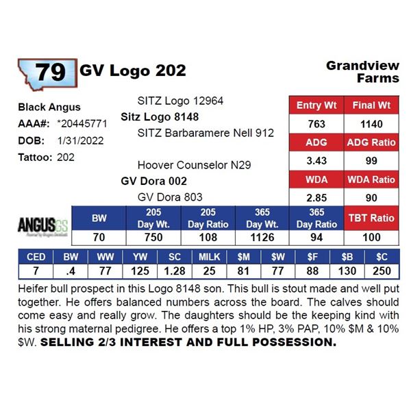GV Logo 202