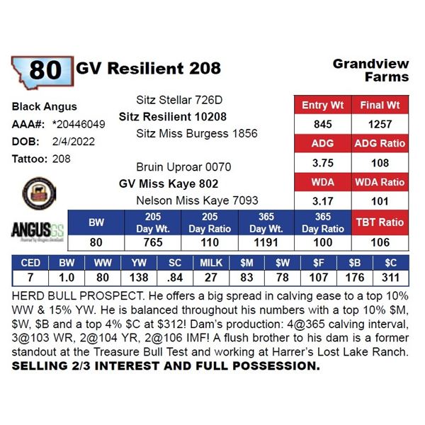 GV Resilient 208