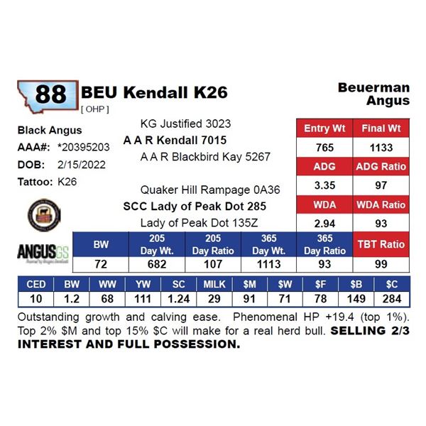 BEU Kendall K26