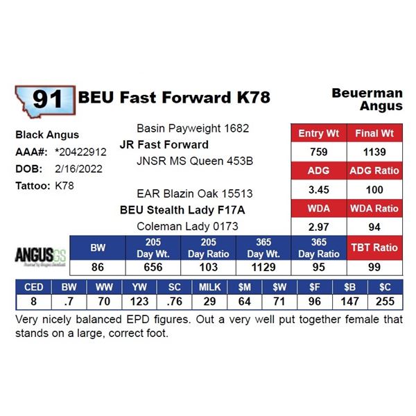 BEU Fast Forward K78