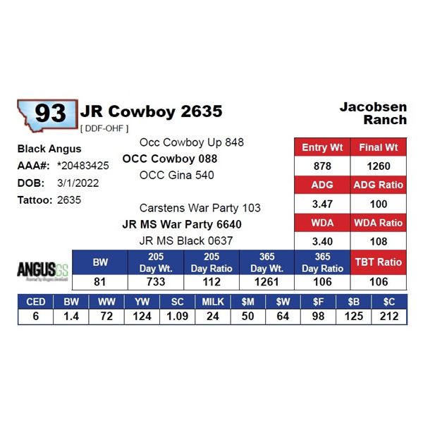 JR Cowboy 2635