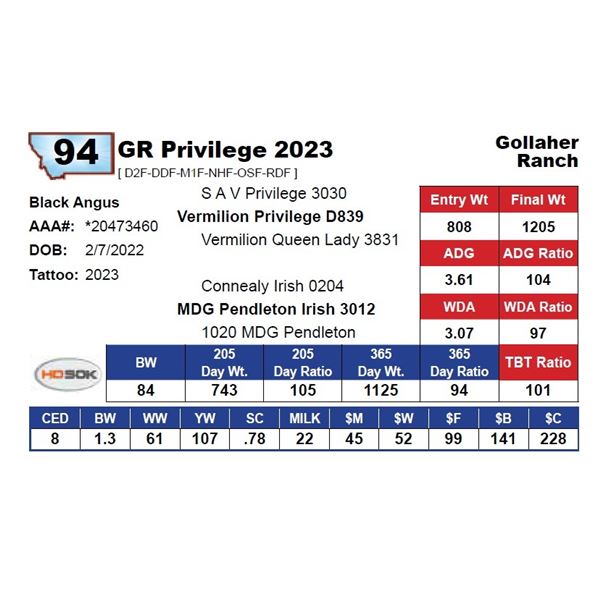 GR Priviledge 2023