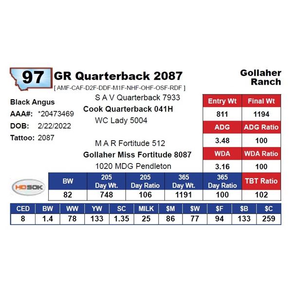GR Quarterback 2087